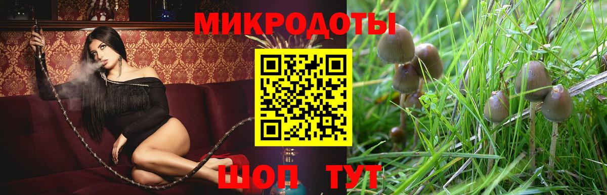  COCAIN Нижнеудинск